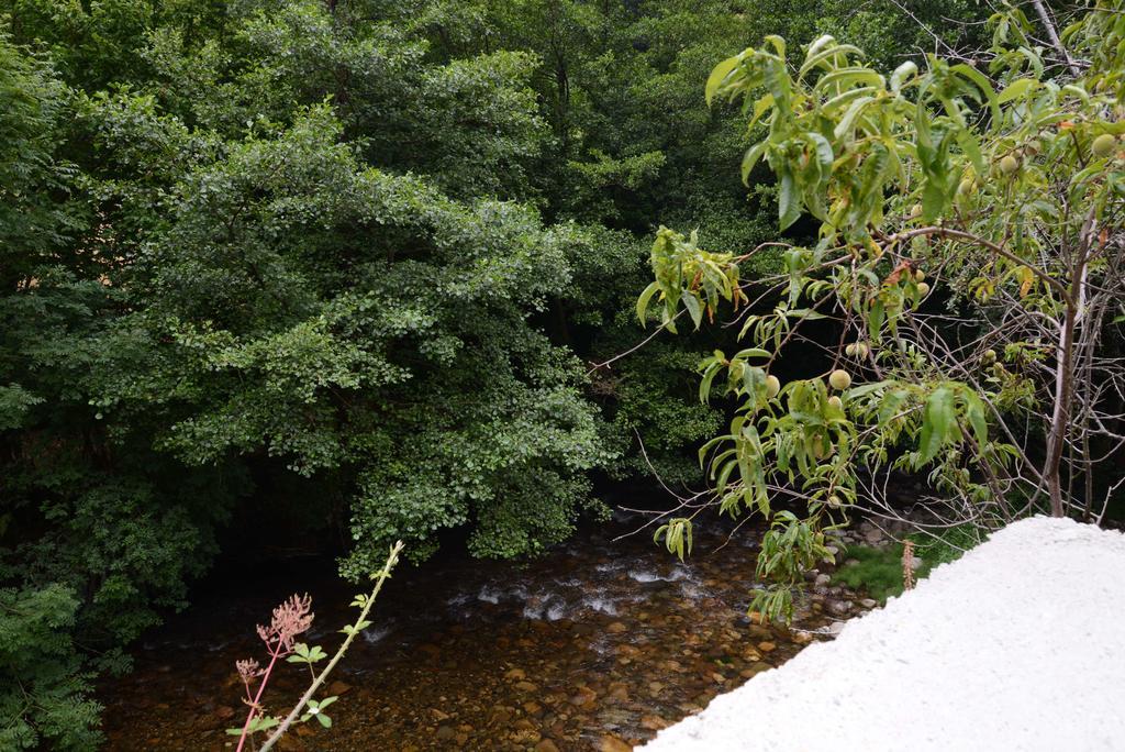 Apartamentos El Rincon De Limes Кангас-дель-Нарсеа Номер фото
